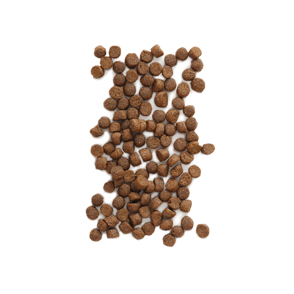 Adult Cat Food Earthborn