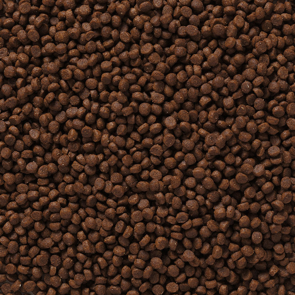 Puppy Dog Food Pro Pac