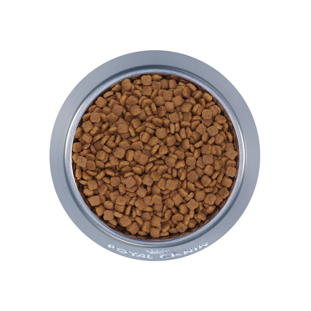 Royal Canin Baby Cats