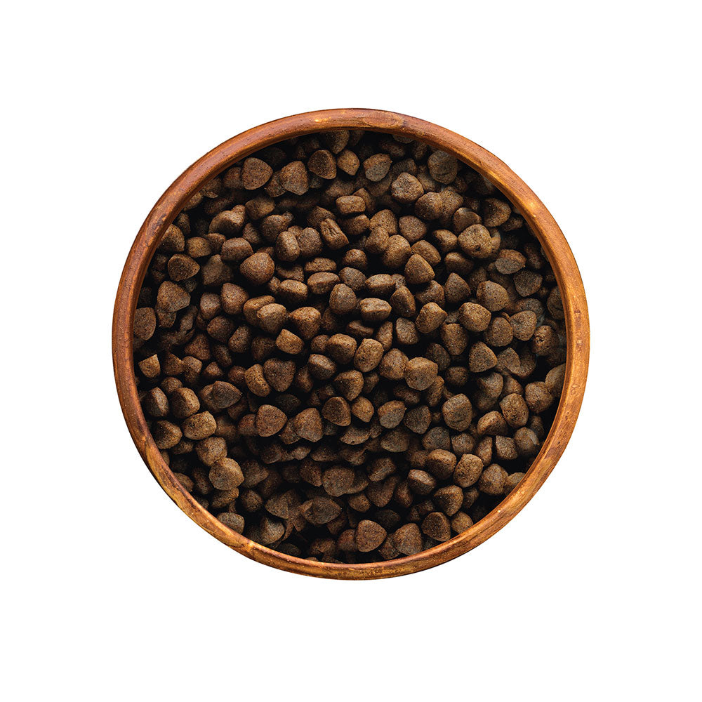 Adult Dog Food Earthborn