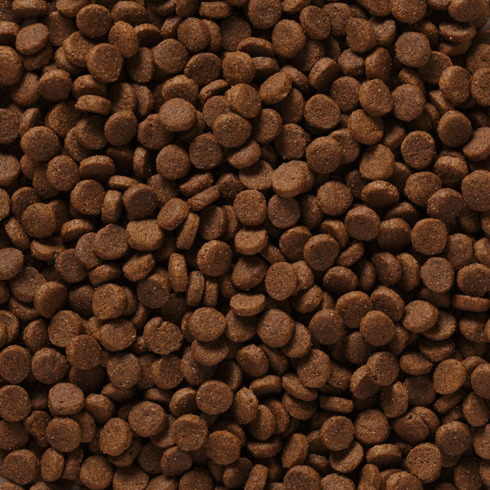 Adult Dog Food Pro Pac